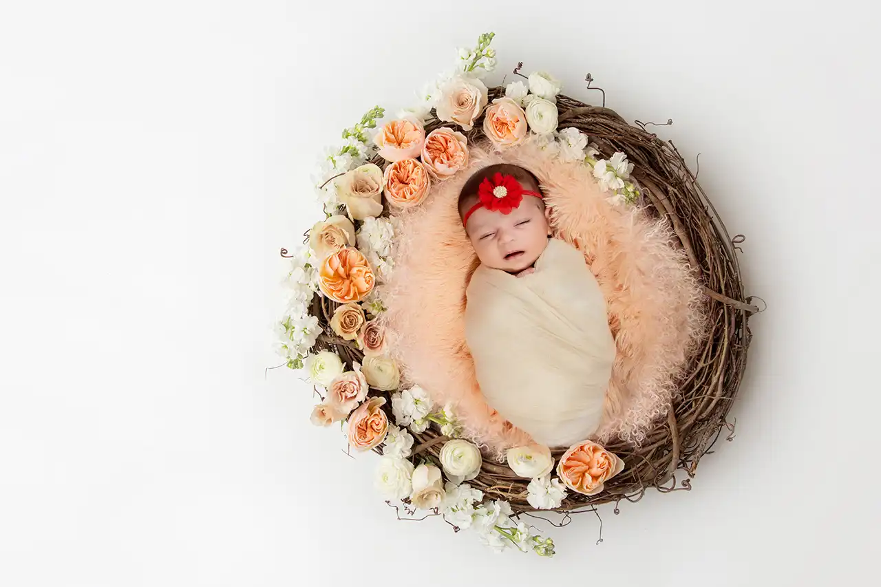 Newborn Shoots - Gallery Image 6