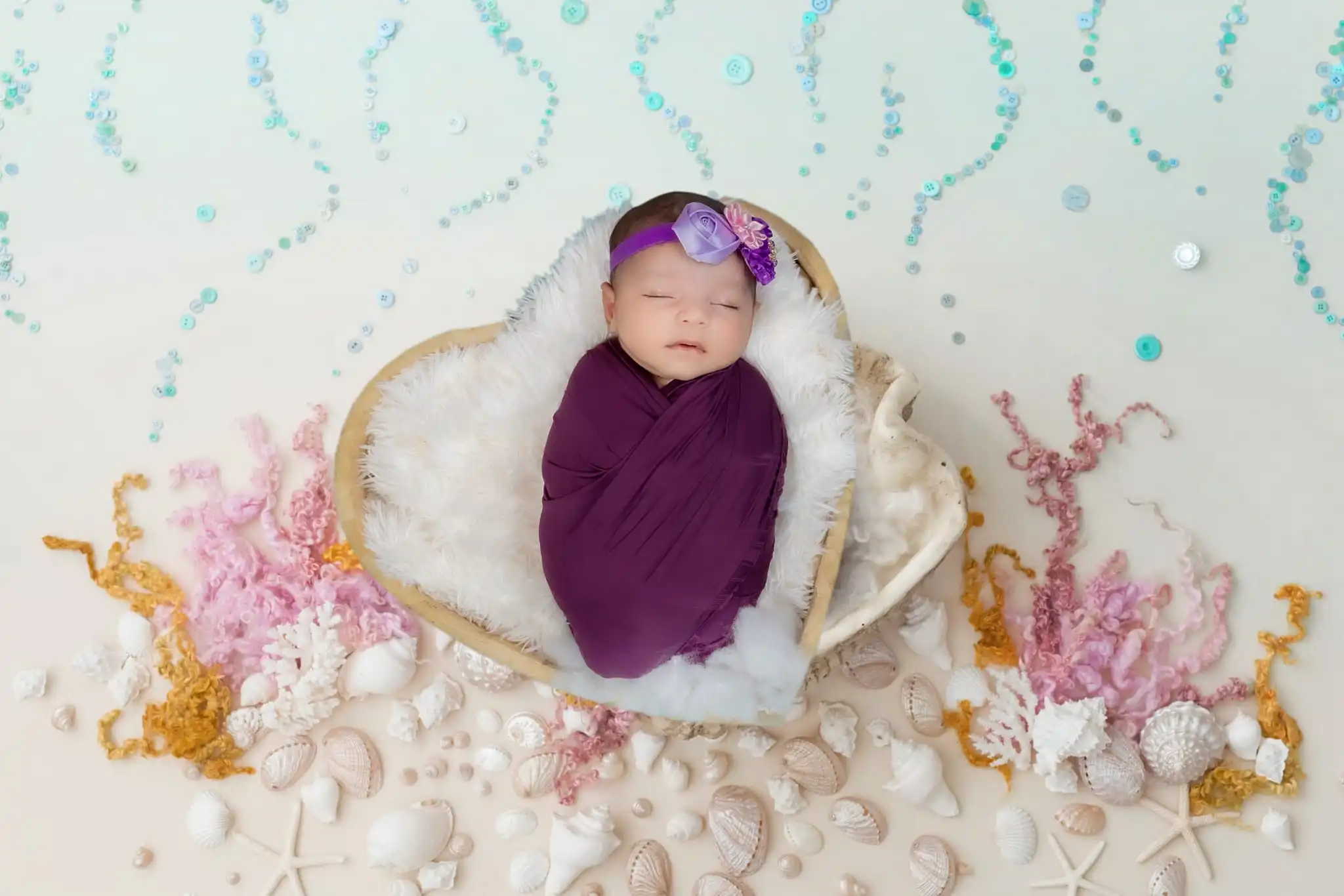 Newborn Shoots - Gallery Image 3