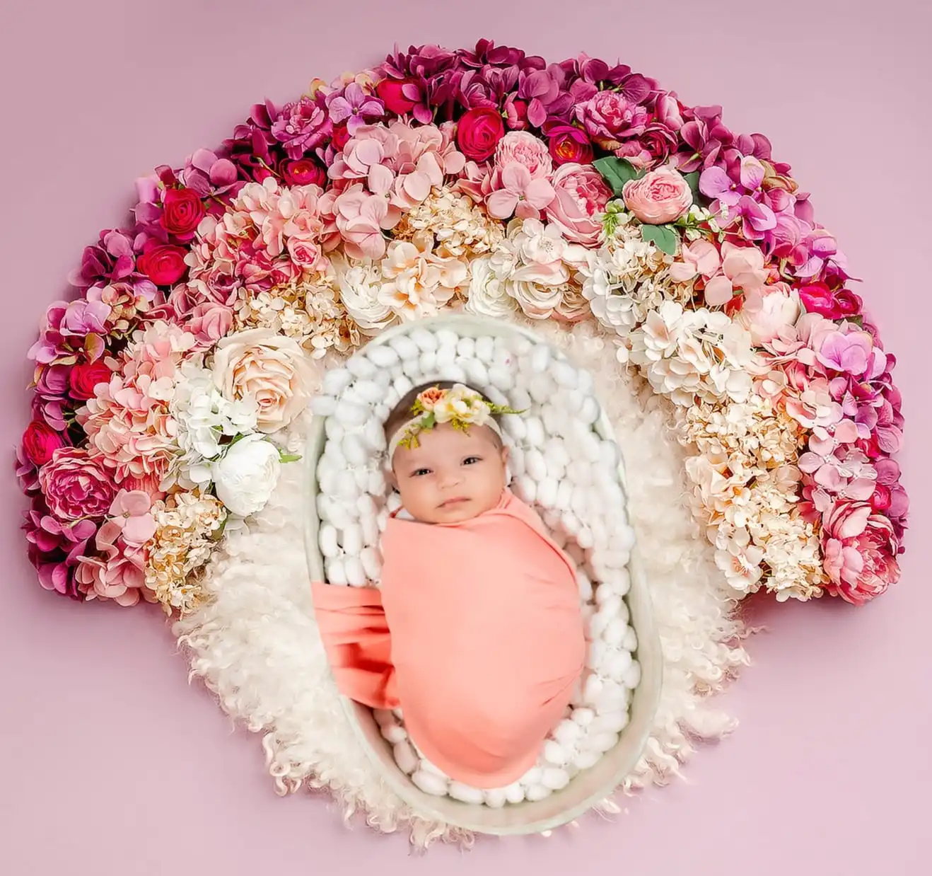 Newborn Shoots - Gallery Image 1