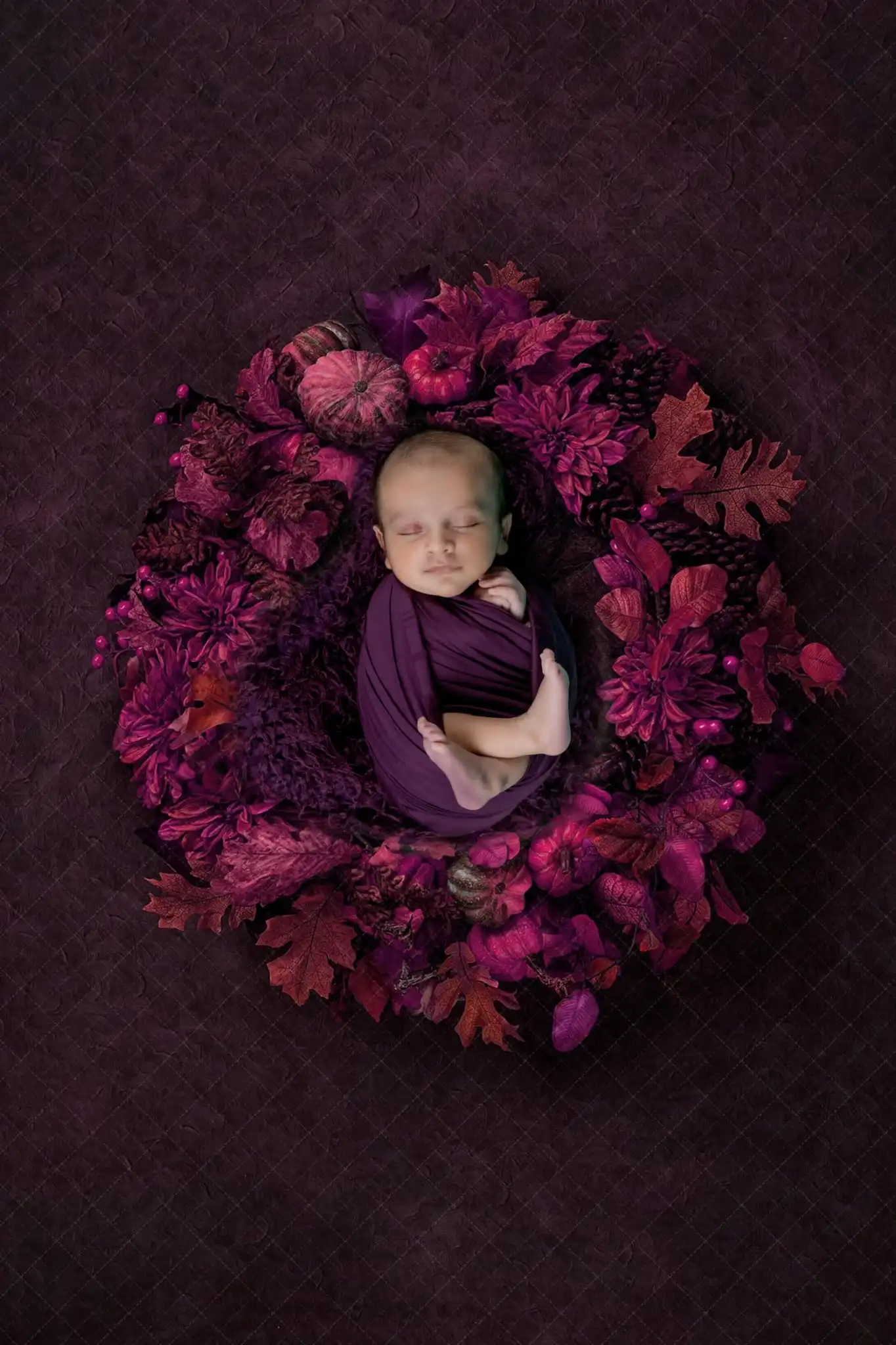 Newborn Shoots - Gallery Image 8